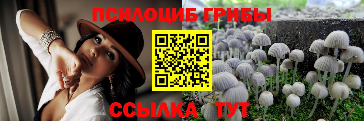 Галлюциногенные грибы Cubensis Котельники