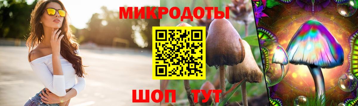 Псилоцибиновые грибы GOLDEN TEACHER  Вход с VPN  Галлюциногенные грибы MAGIC MUSHROOMS  Котельники 